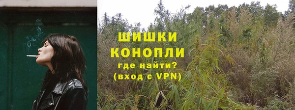 спиды Горно-Алтайск