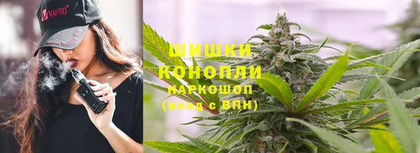 ГАЛЛЮЦИНОГЕННЫЕ ГРИБЫ Пролетарск