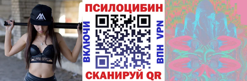 Галлюциногенные грибы MAGIC MUSHROOMS  наркошоп  Буй 