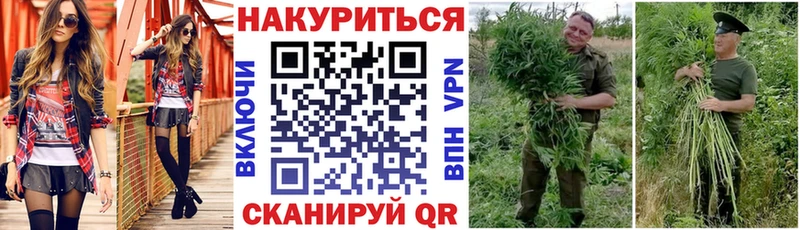 где купить   площадка Telegram  гидра рабочий сайт  Бошки марихуана ГИДРОПОН  Буй 